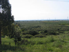 cea, calanchi,montalbano,basilicata, legambiente, escursioni, riserva, natura, geologia, educazione ambientale, fossili, redus, itinerari,territorio, economia, lucania