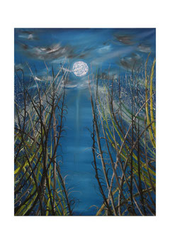 Sinfonia al chiaro di Luna (olio su tela 50x80 2012)