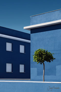 Arquitectura y Natura | Juanjo Fernández