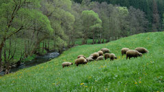 Das Ölschnitztal im Naturpark Fichtelgebirge