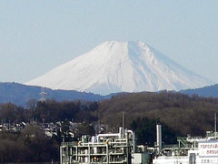 冬の朝の富士山