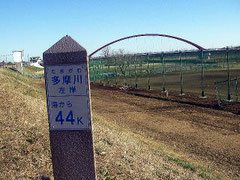 多摩川　くじら運動公園