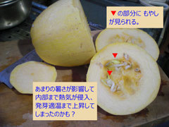 2度クリックするとさらに大きくなる