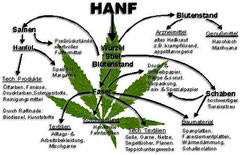 Hanfnutzung via www.hanfmuseum.de