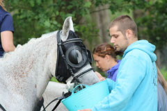 Bild v. M. Zink