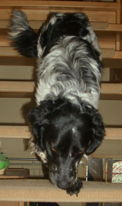Ich trau mich die Treppe runter
