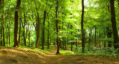© Inga Nielsen - Fotolia.com