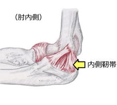 肘の痛み Tip南行徳整骨院 Tip綾瀬整骨院 肘の痛み Tip南行徳整骨院 Tip綾瀬整骨院