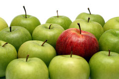©Kokhanchikov-fotolia.com