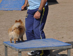 Agility, la table, photo Jorge Arcas, Arkuin