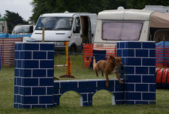 Agility, viaduc, photo Mister b 1138