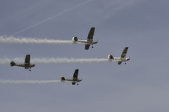 Die Bird Dog-Patrol in Formation (Foto: Rainer Freund)