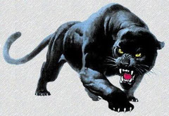 Bagheera