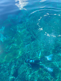 石垣島でのんびりダイビング「海の中丸見え」
