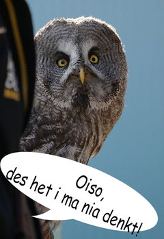 Bild von Margit Wallner auf pixabay.com, Bearbeitung PSt