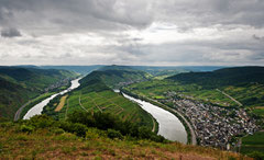 Die Mosel am Bremmer Calmont