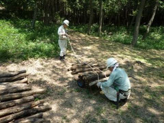 ホダ木の搬入作業