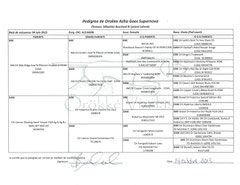 Pedigree Azha