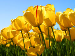 http://jp.fotolia.com/id/34140132