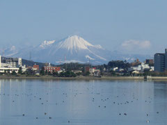 宍道湖越しの雪の大山