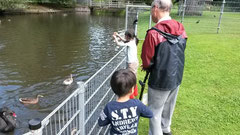 近所の公園で鳥と子供たちと戯れる父