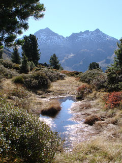 auf der Via Alpina