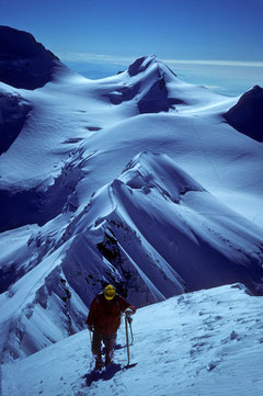 Aufstieg zum Liskamm - Ost 4527 m