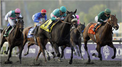 Zenyatta gewinnt den Breeders Cup Classic 2009