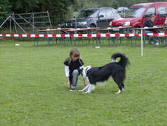 Dogdancing