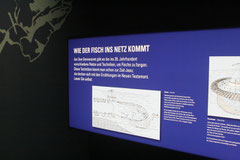 Foto: Schmidt