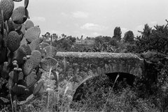Puente Santa Clara.