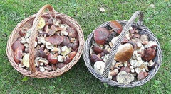 Ostpreussen kulinarisch