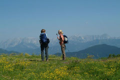 Wandelvakantie in Flachau 