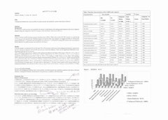 学会発表前ですので細部が見られるほど解像度を上げていません、悪しからずご了承ください (クリックで拡大)