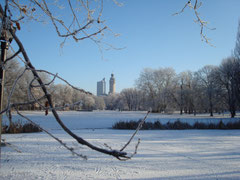 Leipzig im Winter Blick auf Johannanpark und Neues Rathaus