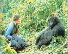 Dian Fossey