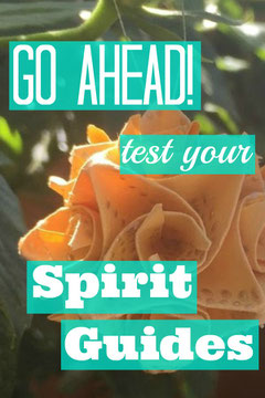 Go Ahead! Test Your Spirit Guides!