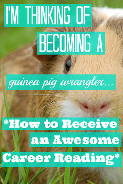 I'm Thinking of Becoming a Guinea Pig Wrangler...