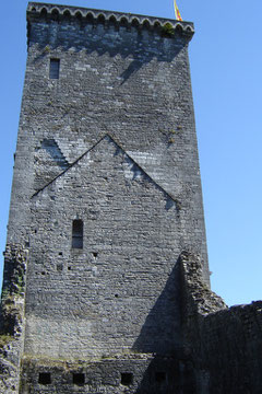 reste le donjon de 31m dont le rez de chaussée (sans porte) était occupé par une prison et l'étage par la salle des gardes