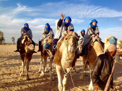 Camel rides among the dunes of the Sahara.