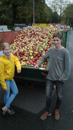 ...der erste volle Container in Oberpleis