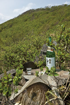 取材隊から神酒が捧げられた。後方の山はドコノ森(八合目付近)
