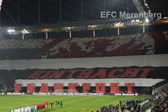Choreo zum Spiel gegen S04 am 14.02.2015