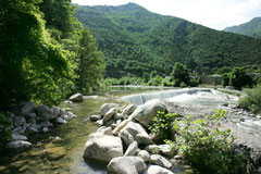 Argentina River 