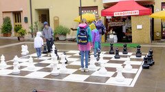 partita a scacchi #98