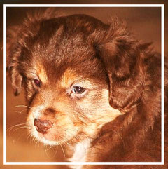 Foto R. Wendel