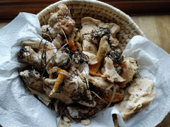 Pigg-Soop , weißer Pfifferling