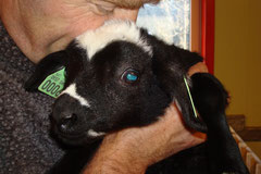 Lilly , Emmas Tochter