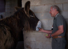 Sikita de la Brise Bodet de Poitou mit Paten