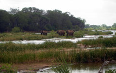 Tsavo East - Galana River